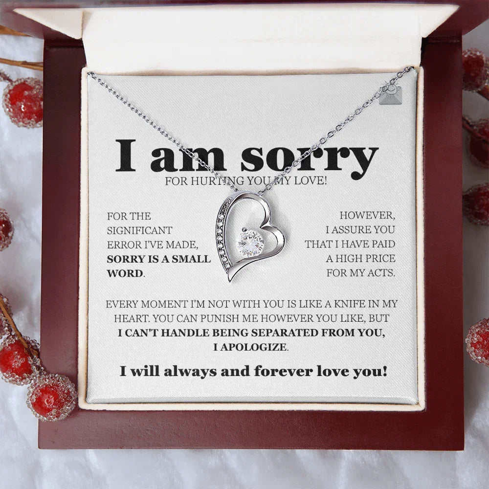 I am sorry - Forever Love Necklace - Gift Set - SLDDL0113 - Sunshine Letters Co