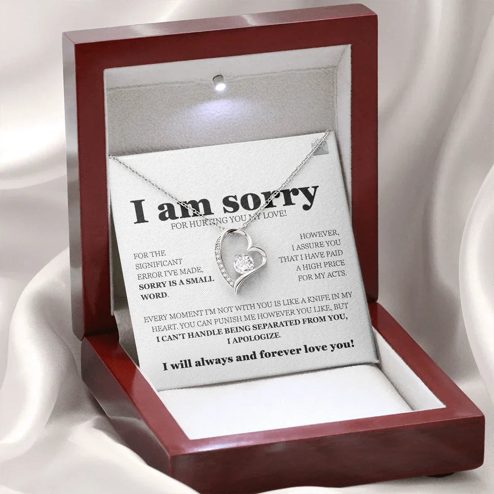 I am sorry - Forever Love Necklace - Gift Set - SLDDL0113 - Sunshine Letters Co