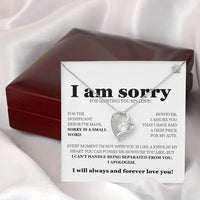 I am sorry - Forever Love Necklace - Gift Set - SLDDL0113 - Sunshine Letters Co