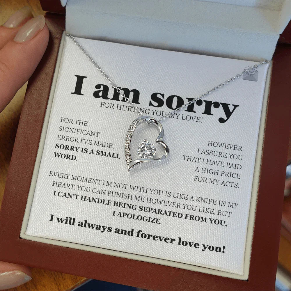 I am sorry - Forever Love Necklace - Gift Set - SLDDL0113 - Sunshine Letters Co