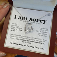 I am sorry - Forever Love Necklace - Gift Set - SLDDL0113 - Sunshine Letters Co