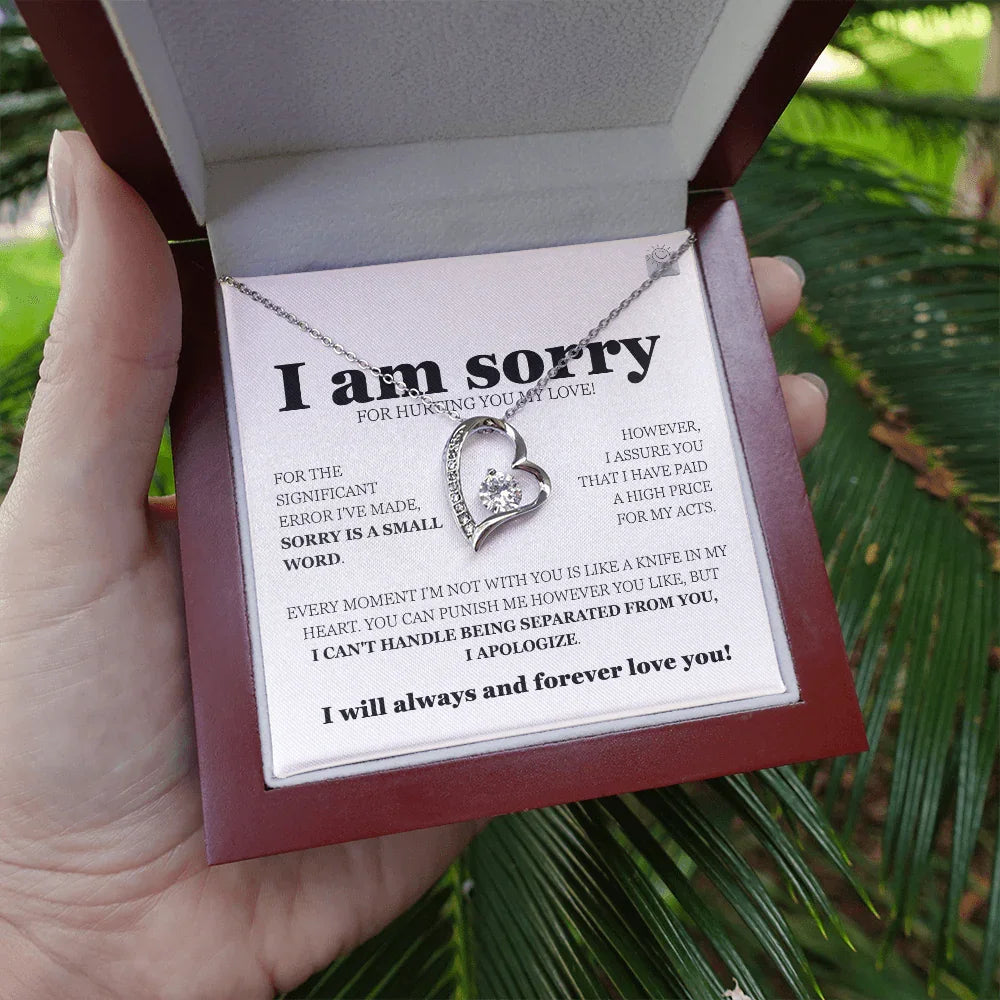 I am sorry - Forever Love Necklace - Gift Set - SLDDL0113 - Sunshine Letters Co