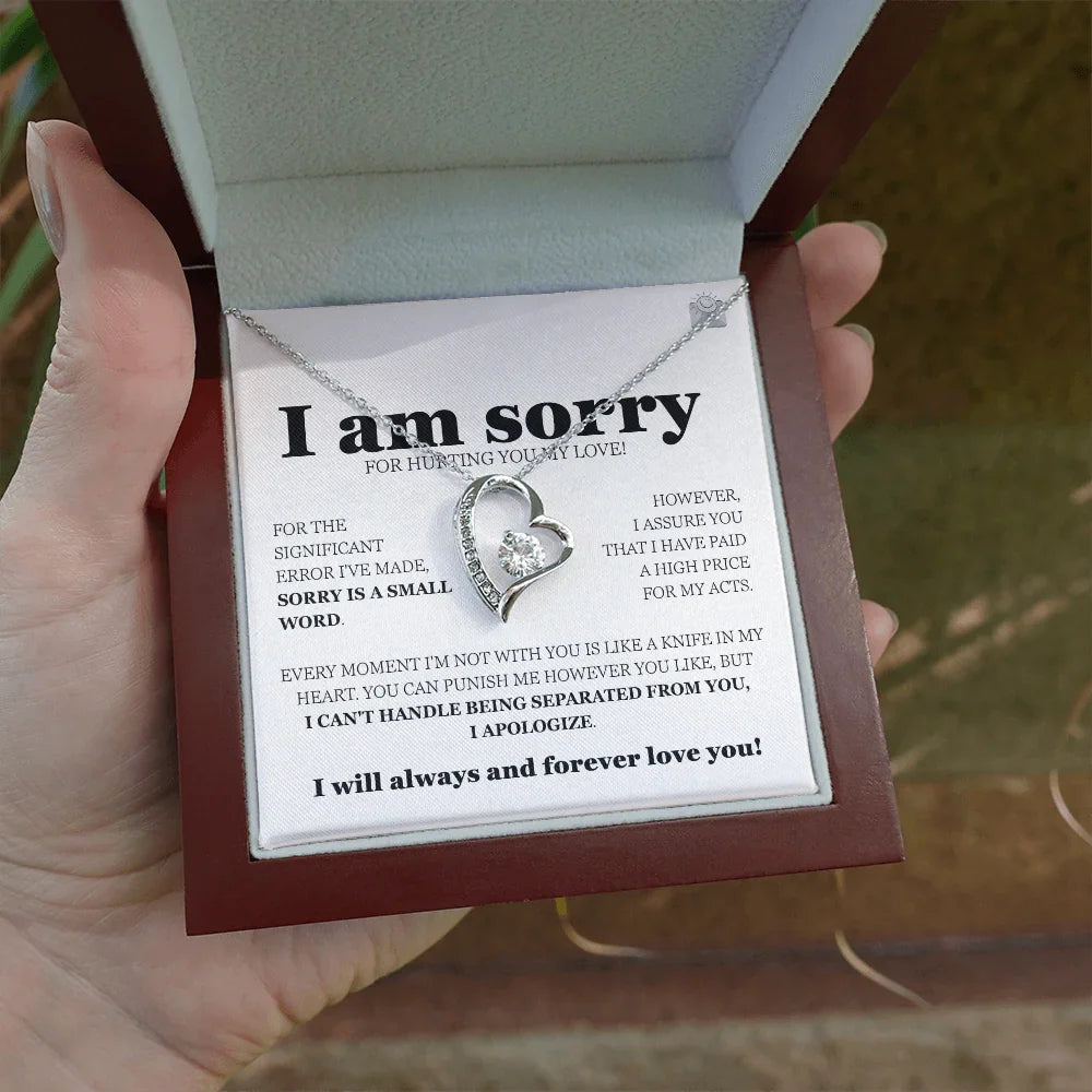 I am sorry - Forever Love Necklace - Gift Set - SLDDL0113 - Sunshine Letters Co