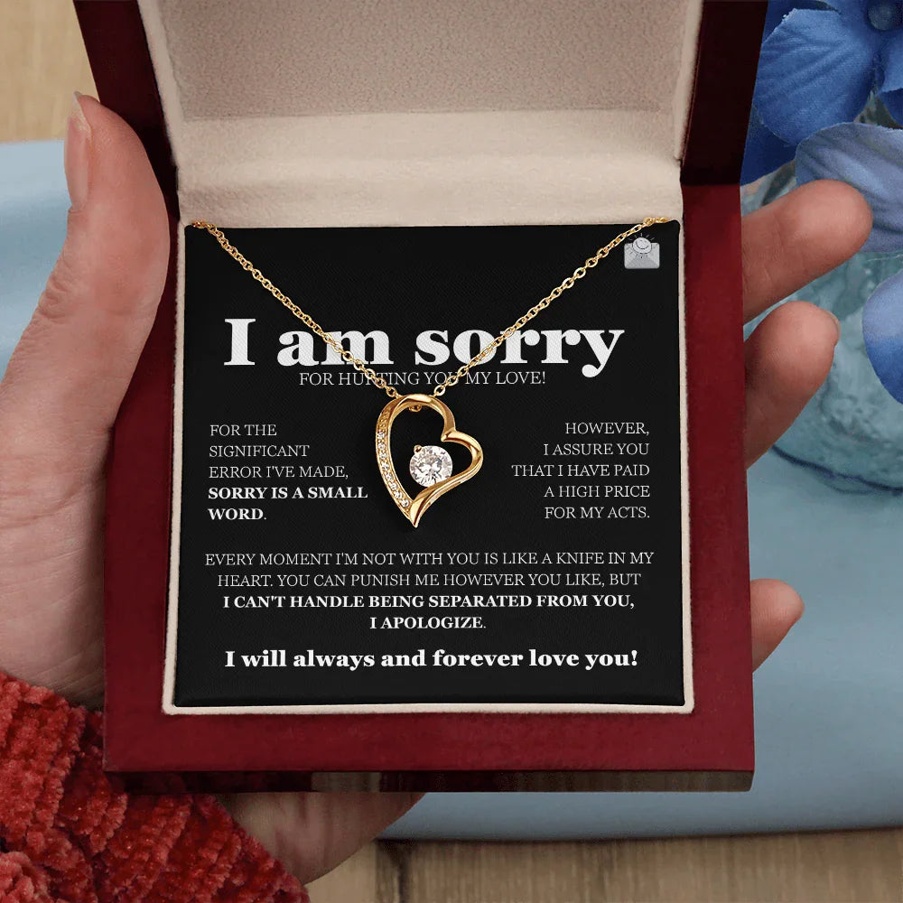 I am sorry - Forever Love Necklace - Gift Set - SLDDL0116 - Sunshine Letters Co