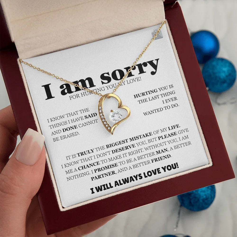 I am sorry - Forever Love Necklace - Apology Gift Set - SLDDL0128 - Sunshine Letters Co