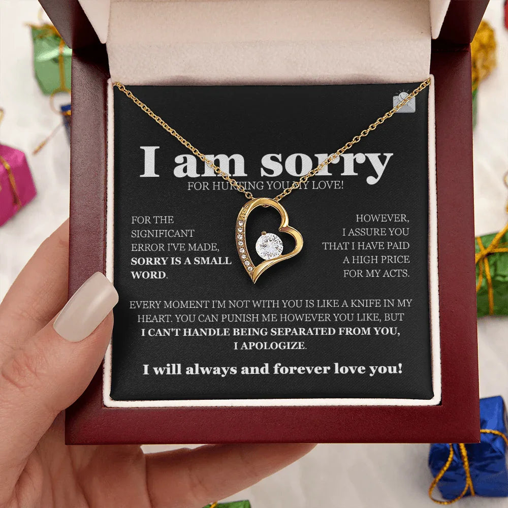 I am sorry - Forever Love Necklace - Gift Set - SLDDL0116 - Sunshine Letters Co