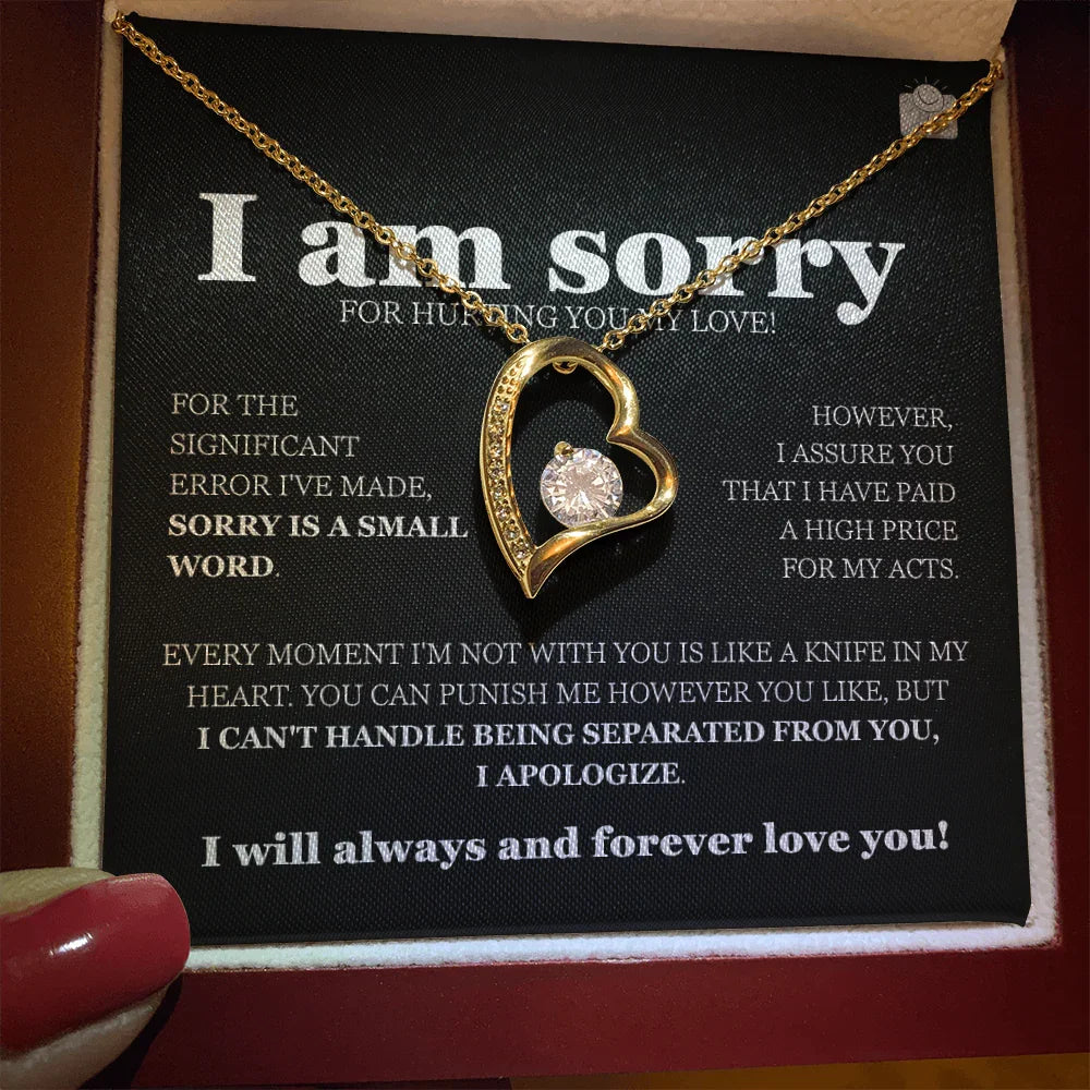 I am sorry - Forever Love Necklace - Gift Set - SLDDL0116 - Sunshine Letters Co