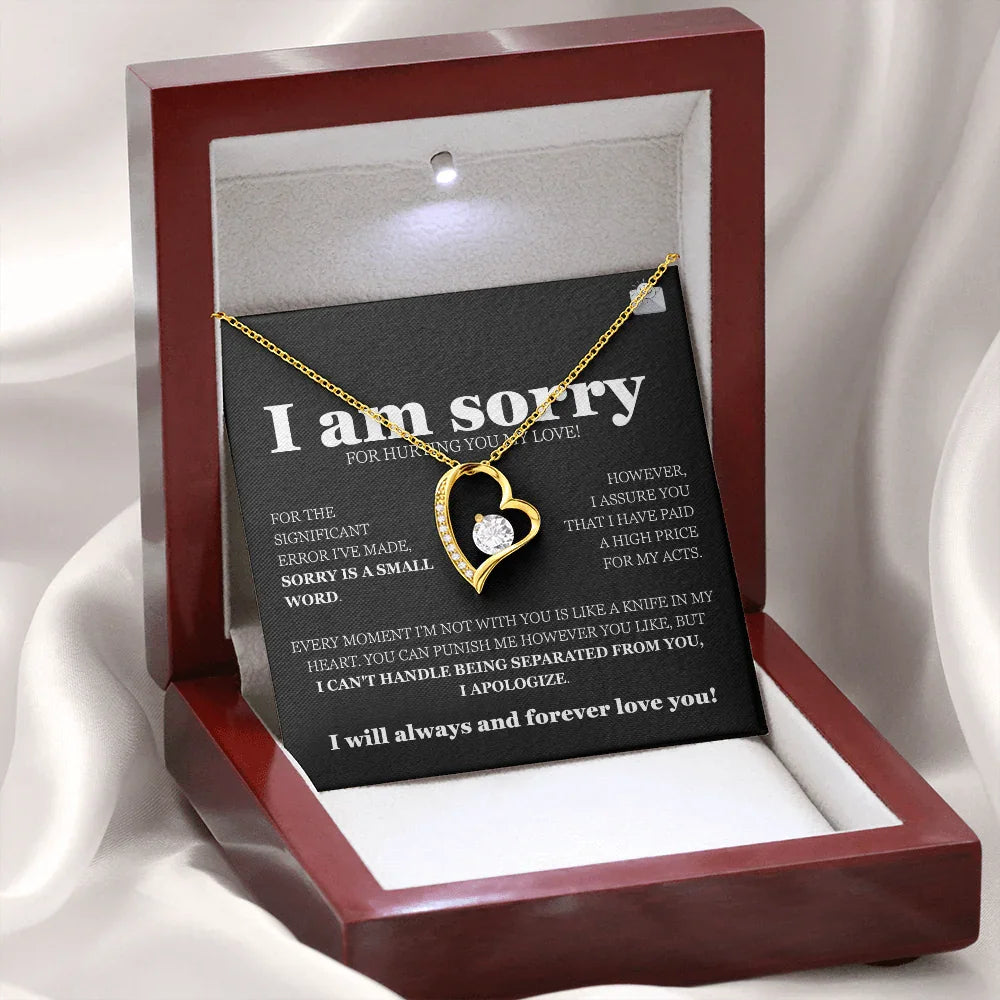 I am sorry - Forever Love Necklace - Gift Set - SLDDL0116 - Sunshine Letters Co