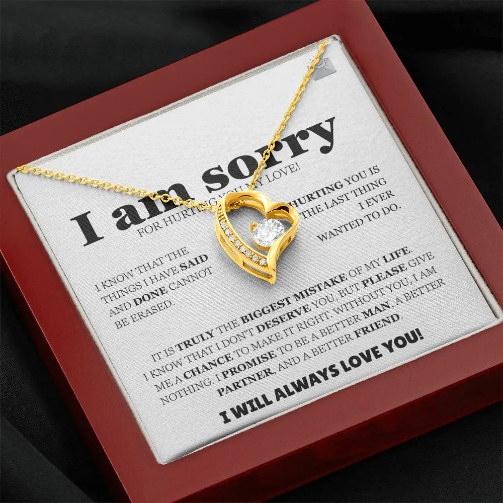 I am sorry - Forever Love Necklace - Apology Gift Set - SLDDL0128 - Sunshine Letters Co