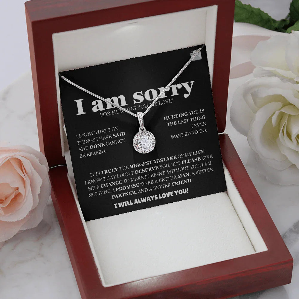 I am sorry - Eternal Hope Necklace - Apology Gift Set - SLDDL0127 - Sunshine Letters Co