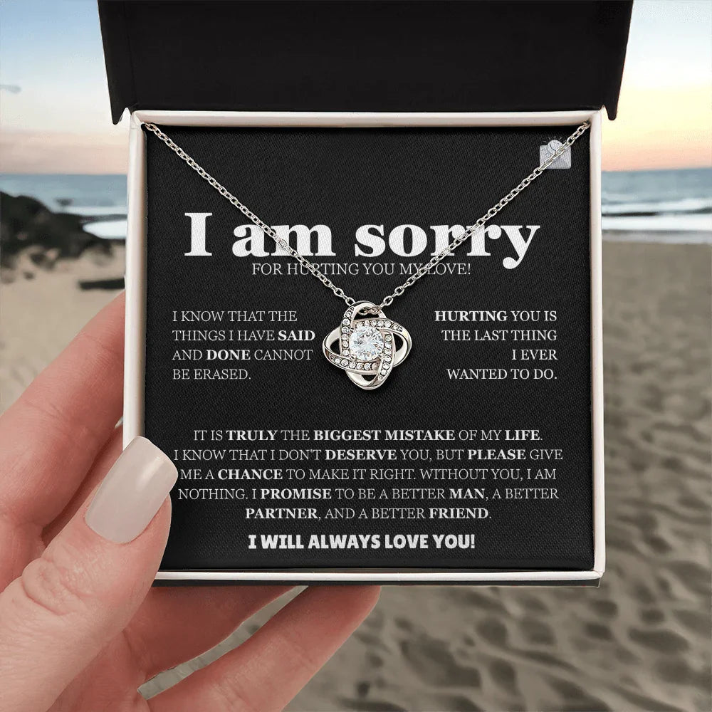 I am sorry - Love Knot Necklace - Apology Gift Set - SLDDL0126 - Sunshine Letters Co