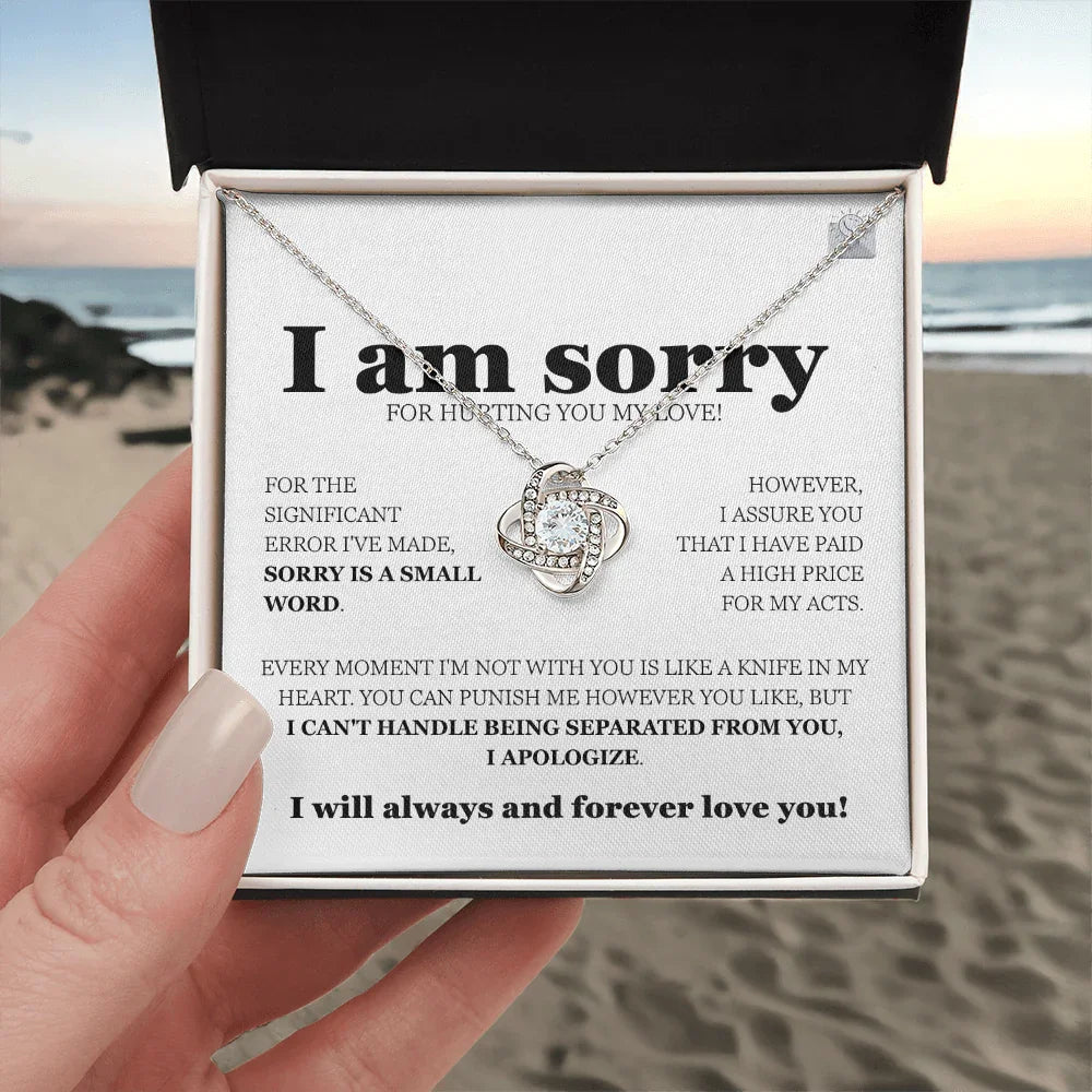I am sorry - Love Knot Necklace - Gift Set - SLDDL0112 - Sunshine Letters Co