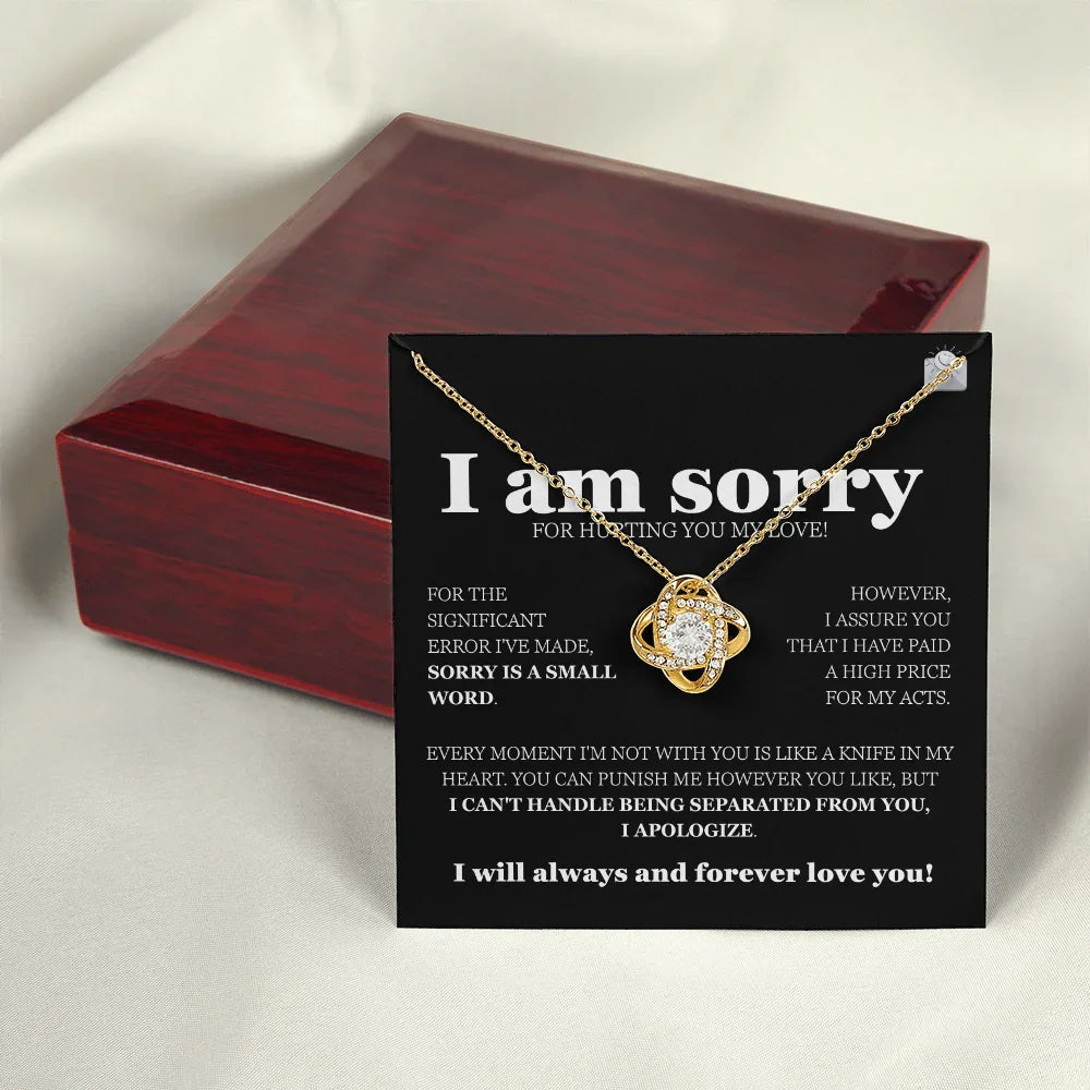 I am sorry - Love Knot Necklace - Gift Set - SLDDL0115 - Sunshine Letters Co