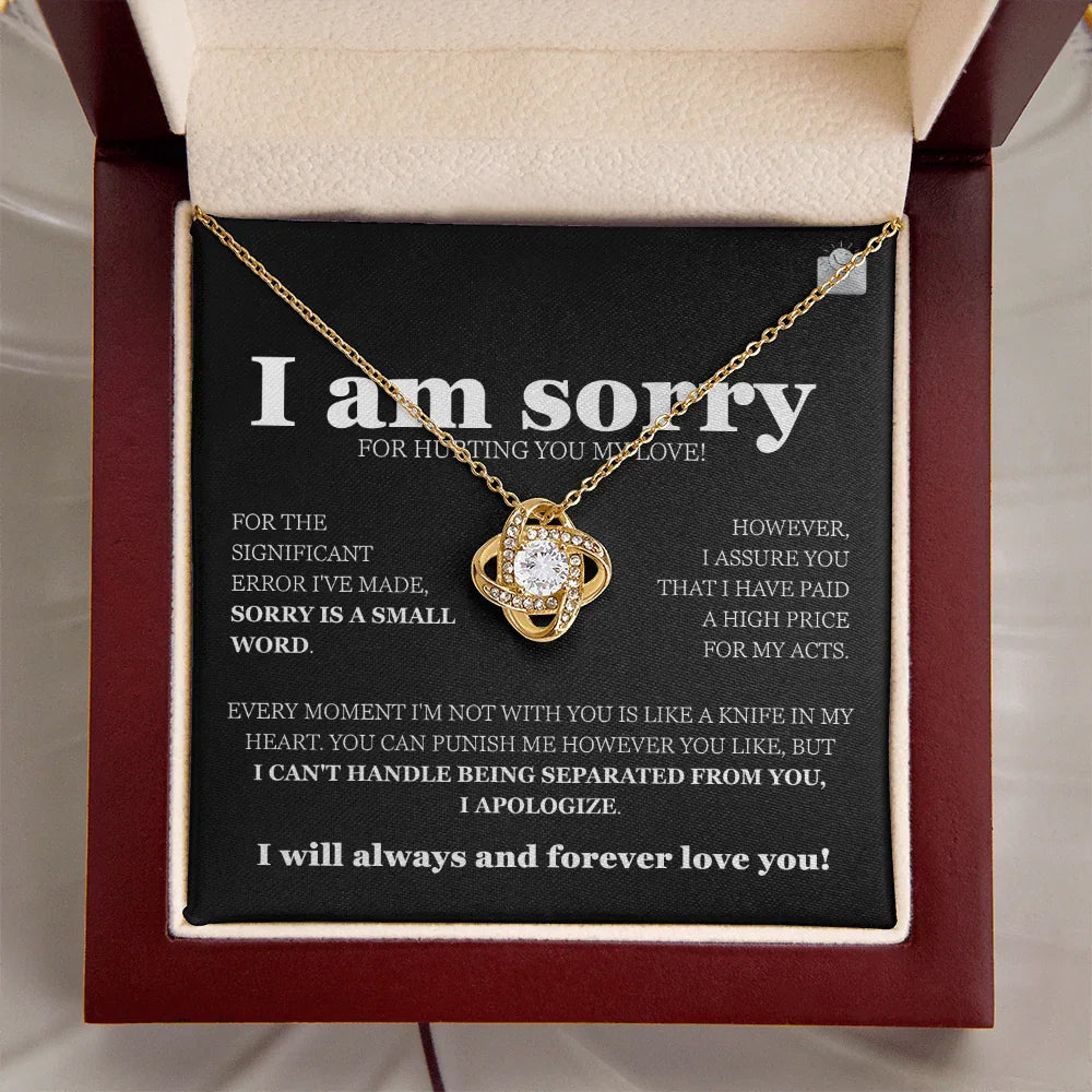 I am sorry - Love Knot Necklace - Gift Set - SLDDL0115 - Sunshine Letters Co