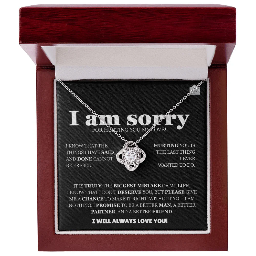 I am sorry - Love Knot Necklace - Apology Gift Set - SLDDL0126 - Sunshine Letters Co