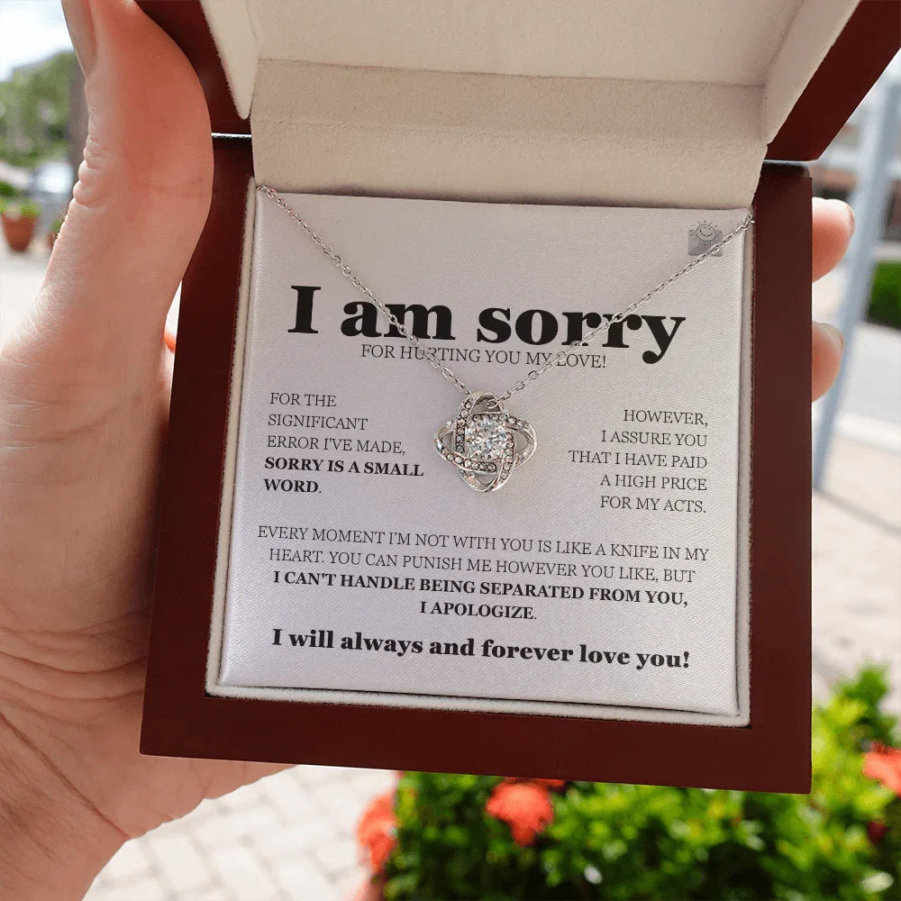 I am sorry - Love Knot Necklace - Gift Set - SLDDL0112 - Sunshine Letters Co