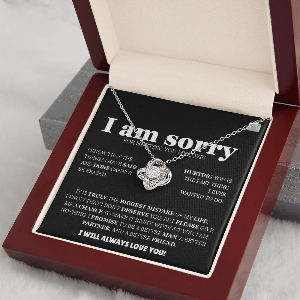 I am sorry - Love Knot Necklace - Apology Gift Set - SLDDL0126 - Sunshine Letters Co