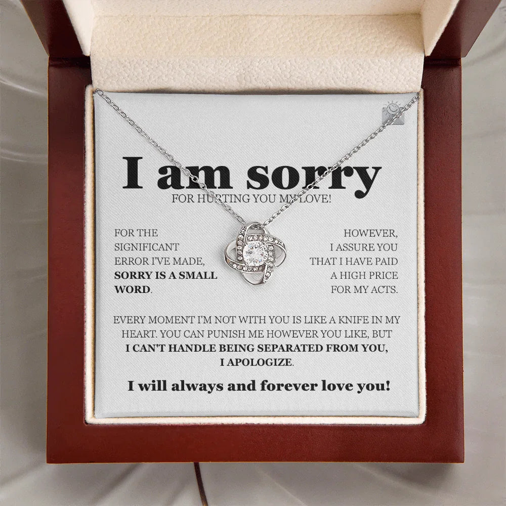 I am sorry - Love Knot Necklace - Gift Set - SLDDL0112 - Sunshine Letters Co