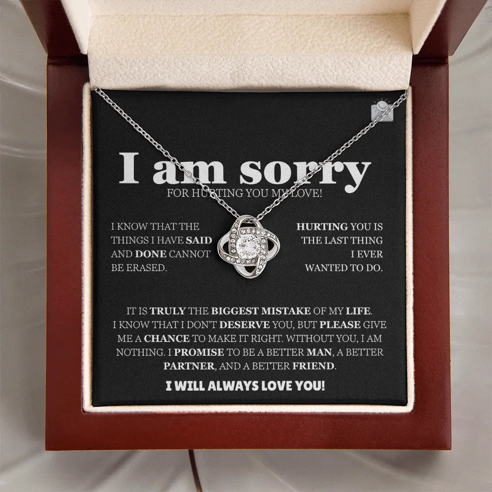 I am sorry - Love Knot Necklace - Apology Gift Set - SLDDL0126 - Sunshine Letters Co