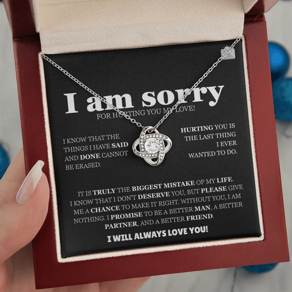 I am sorry - Love Knot Necklace - Apology Gift Set - SLDDL0126 - Sunshine Letters Co