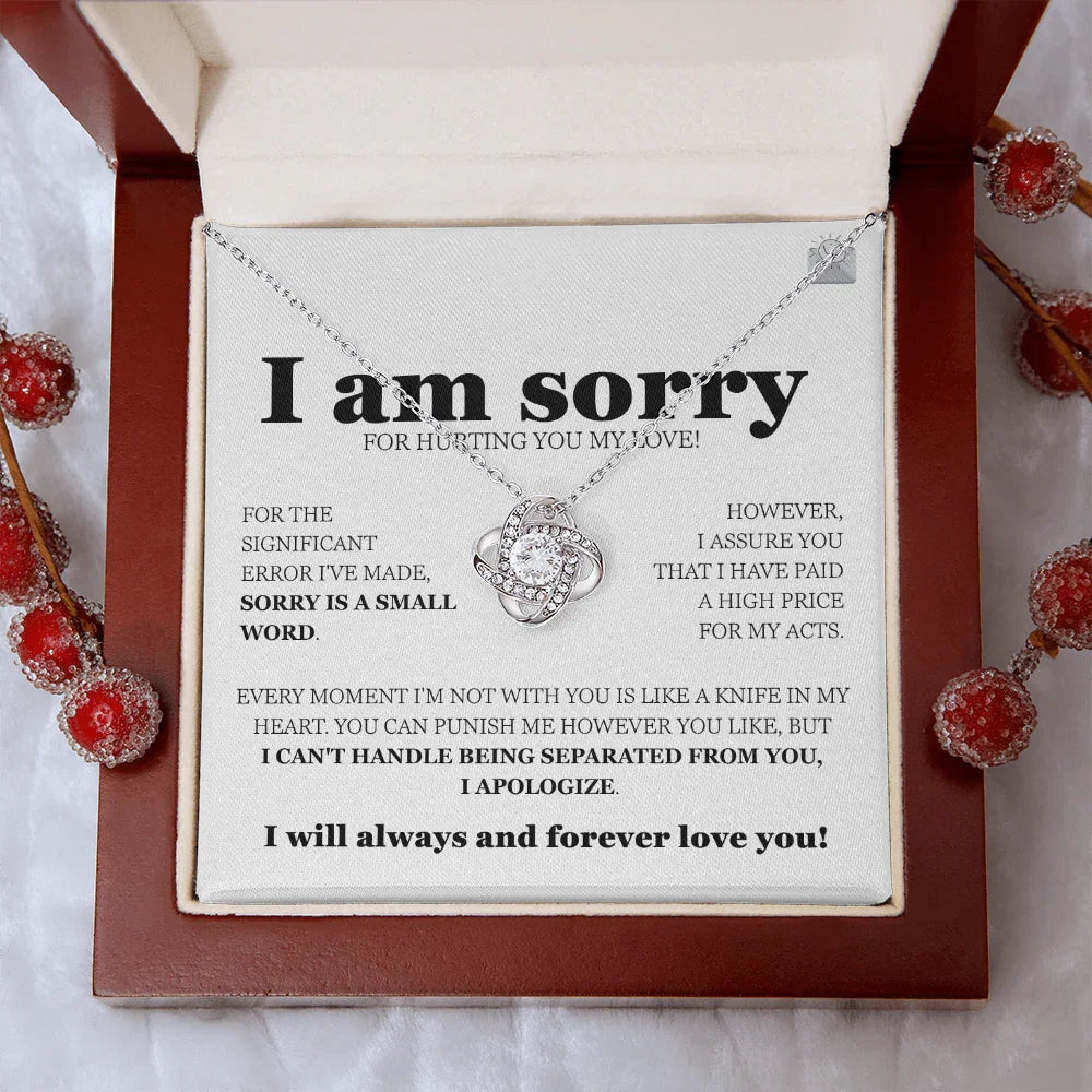 I am sorry - Love Knot Necklace - Gift Set - SLDDL0112 - Sunshine Letters Co