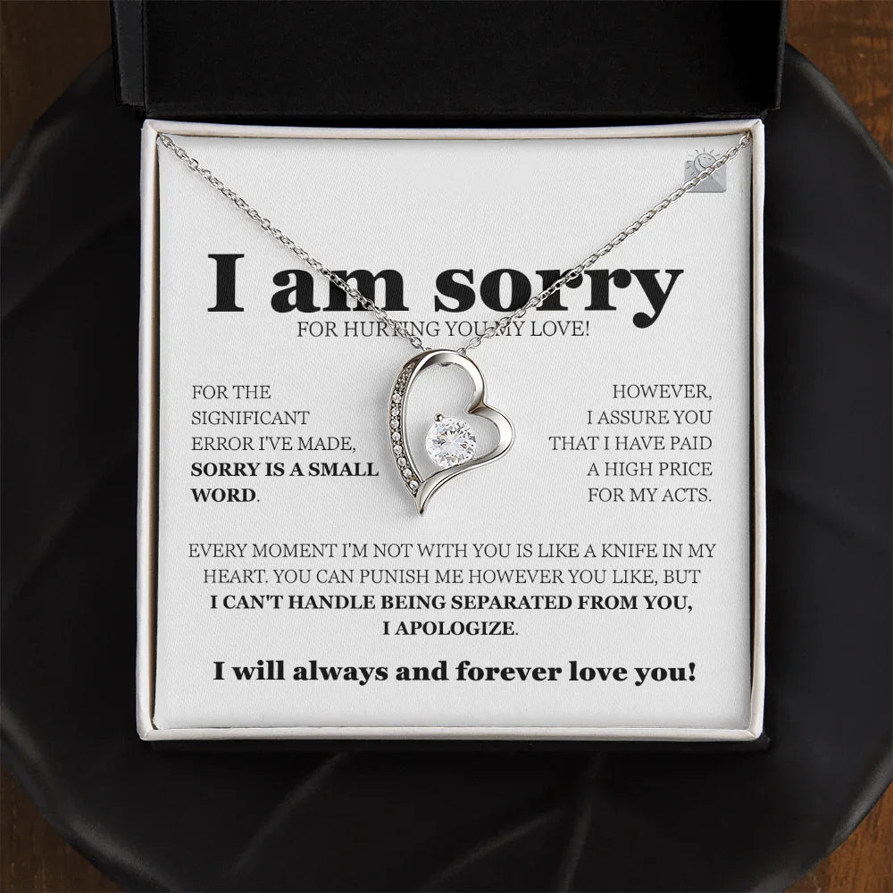 I am sorry - Forever Love Necklace - Gift Set - SLDDL0113 - Sunshine Letters Co