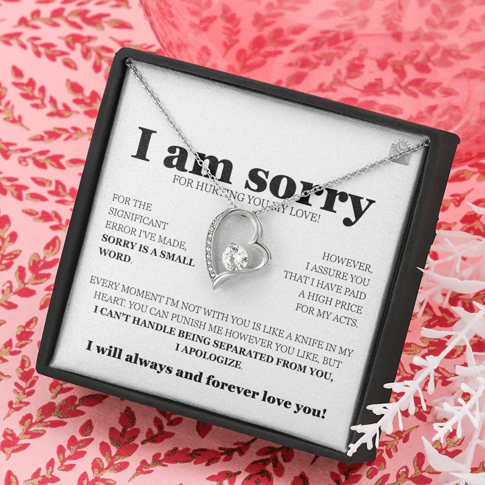 I am sorry - Forever Love Necklace - Gift Set - SLDDL0113 - Sunshine Letters Co