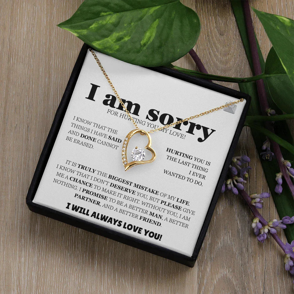 I am sorry - Forever Love Necklace - Apology Gift Set - SLDDL0128 - Sunshine Letters Co