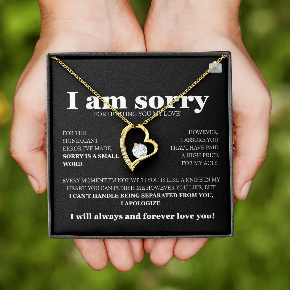 I am sorry - Forever Love Necklace - Gift Set - SLDDL0116 - Sunshine Letters Co