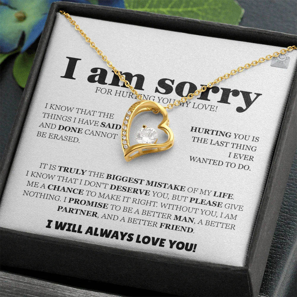 I am sorry - Forever Love Necklace - Apology Gift Set - SLDDL0128 - Sunshine Letters Co