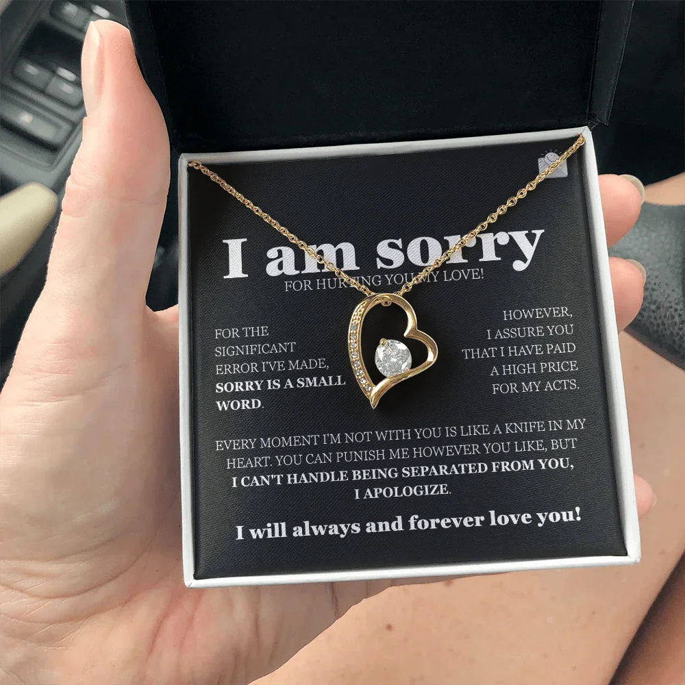 I am sorry - Forever Love Necklace - Gift Set - SLDDL0116 - Sunshine Letters Co