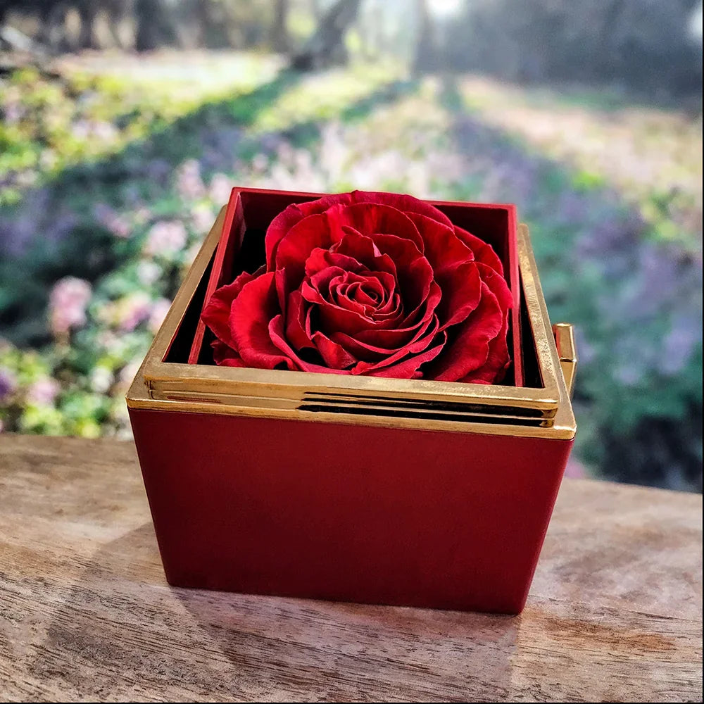 To My Dearest Mother - Love Knot with Rotating Rose Gift Box - SLDDL0110 - Sunshine Letters Co