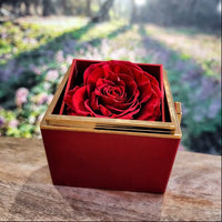 To My Dearest Mother - Love Knot with Rotating Rose Gift Box - SLDDL0110 - Sunshine Letters Co