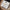 Gold interlocking heart necklace for niece in gift box with inspirational message card.